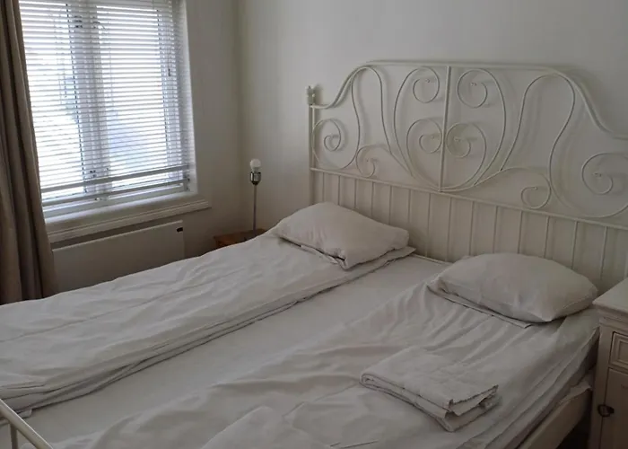 سكوتيفيكسفاين 42 *